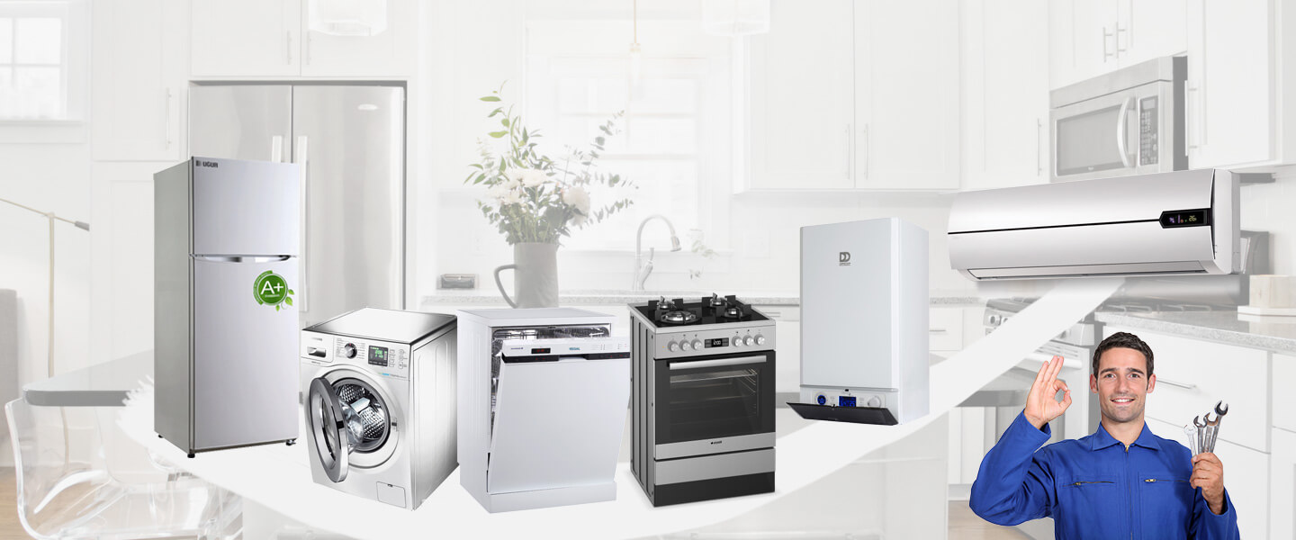 Çayırova Electrolux Servisi